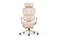 Silla Ergonómica Colorida con Cojín Parecido a Una Nube (BS5 BS5P-PRO)