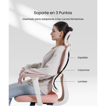 Silla Ergonómica Colorida con Cojín Parecido a Una Nube (BS5 BS5P-PRO)