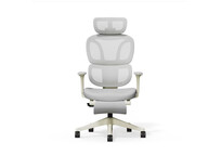 Silla Ergonómica Colorida con Cojín Parecido a Una Nube (BS5 BS5WG-PRO)