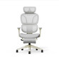 Silla Ergonómica Colorida con Cojín Parecido a Una Nube (BS5 BS5WG-PRO)