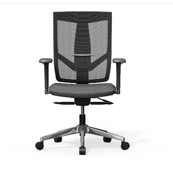 Silla Ergonómica con Respaldo Ajustable en Altura de 8 Niveles (BS6-Lite) Silla Ergonómica con Respaldo Ajustable en Altura de 8 Niveles (BS6-Lite)