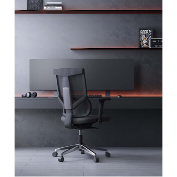 Silla Ergonómica con Respaldo Ajustable en Altura de 8 Niveles (BS6-Lite) Silla Ergonómica con Respaldo Ajustable en Altura de 8 Niveles (BS6-Lite)