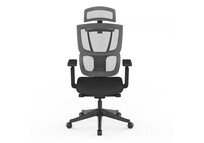Silla ErgonÃ³mica Multi-Ajustable con Soporte Lumbar Dividido