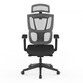 Silla ErgonÃ³mica Multi-Ajustable con Soporte Lumbar Dividido