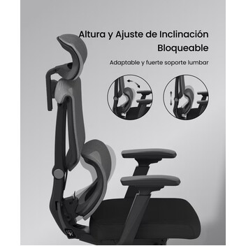 Silla ErgonÃ³mica Multi-Ajustable con Soporte Lumbar Dividido