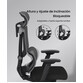Silla ErgonÃ³mica Multi-Ajustable con Soporte Lumbar Dividido