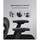 Silla ErgonÃ³mica Multi-Ajustable con Soporte Lumbar Dividido