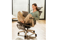 Silla Ergonómica Multi-Ajustable con Soporte Lumbar Dividido (C7B-Air)
