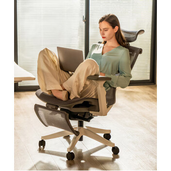 Silla Ergonómica Multi-Ajustable con Soporte Lumbar Dividido (C7B-Air)