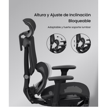 Silla Ergonómica Multi-Ajustable con Soporte Lumbar Dividido (C7B-Air)