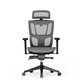 Silla Ergonómica Multi-Ajustable con Soporte Lumbar Dividido (C7G-Air-EU)