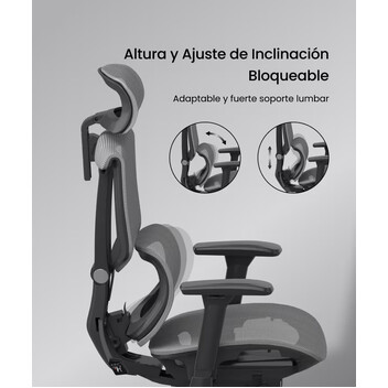 Silla Ergonómica Multi-Ajustable con Soporte Lumbar Dividido (C7G-Air-EU)