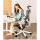 Silla Ergonómica Multi-Ajustable con Soporte Lumbar Dividido (C7G-Air-EU)