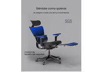 Silla Ergonómica Ajustable con Cojín de Látex (C7 Max)