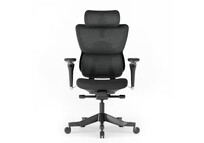 Silla Ergonómica Ajustable con Cojín de Látex (C7MB-F2)