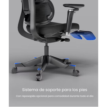 Silla Ergonómica Ajustable con Cojín de Látex (C7MB-F2)