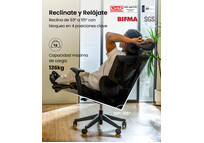 Silla Ergonómica Multi-Ajustable con Soporte Lumbar Dividido (C7)