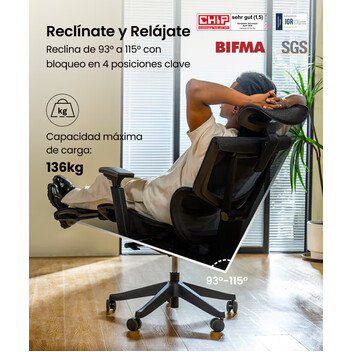Silla Ergonómica Multi-Ajustable con Soporte Lumbar Dividido (C7)