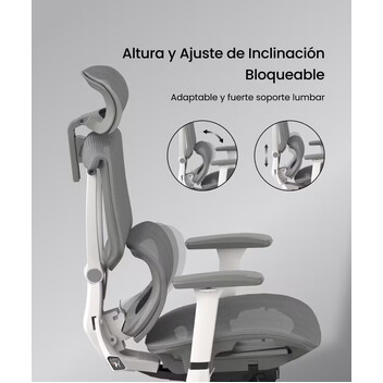 Silla Ergonómica Multi-Ajustable con Soporte Lumbar Dividido (C7)