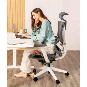 Silla Ergonómica Multi-Ajustable con Soporte Lumbar Dividido (C7)