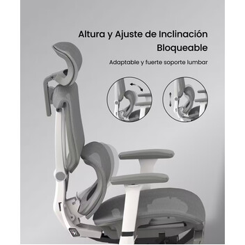 Silla Ergonómica Multi-Ajustable con Soporte Lumbar Dividido (C7WG-Air-Pro) Silla Ergonómica Multi-Ajustable con Soporte Lumbar Dividido (C7WG-Air-Pro)
