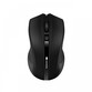 Canyon MW-5 Ratón Inalámbrico 1600DPI Negro
