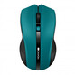 Canyon CNE-CMSW05G Ratón Inalámbrico 1600 DPI Verde