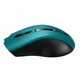 Canyon CNE-CMSW05G Ratón Inalámbrico 1600 DPI Verde