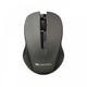 Canyon CNE-CMSW1G Ratón Inalámbrico 1200 DPI Gris