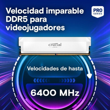 Memoria RAM Módulo RAM Crucial Pro CP2K32G60C40U5W 64GB 2x32GB DDR5 6000MHz CL40 288-pin DIMM Disipa