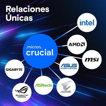Memoria RAM Crucial Pro CP2K64G56C46U5 128GB 2x64GB DDR5 5600MHz CL46 Intel XMP AMD EXPO Memoria RAM Crucial Pro CP2K64G56C46U5 128GB 2x64GB DDR5 5600MHz CL46 Intel XMP AMD EXPO