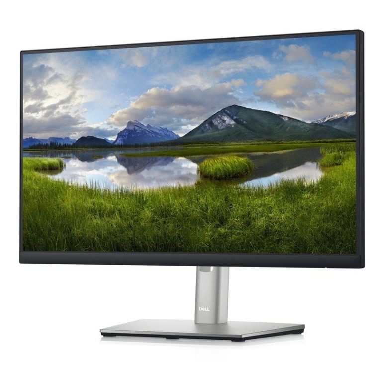 Dell P2422H 23.8" LED IPS FullHD