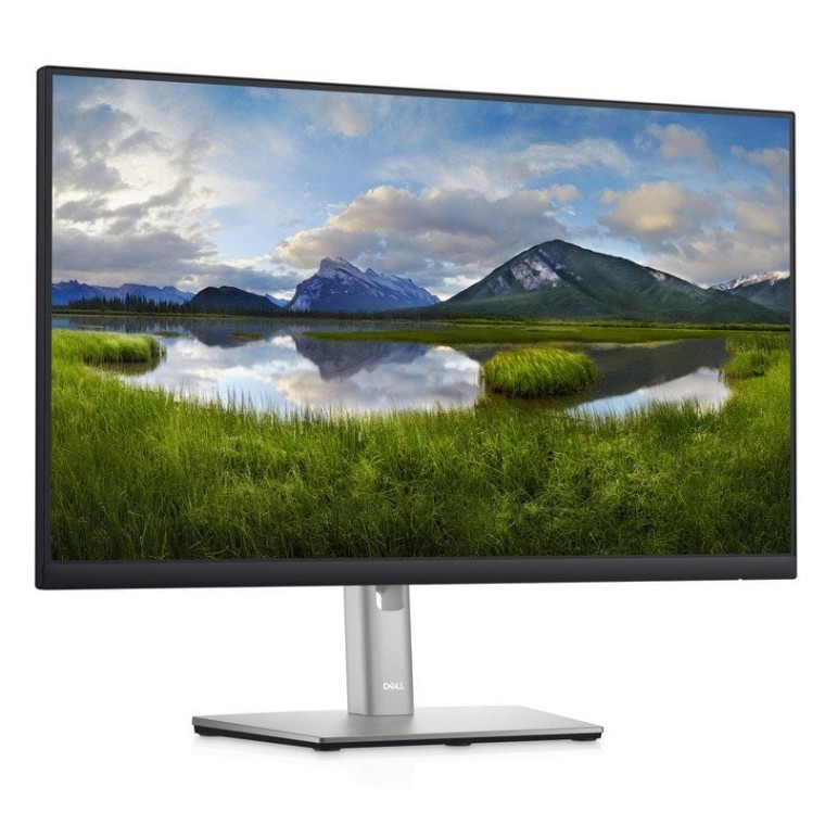 Dell P2422HE 23.8" LED IPS FullHD USB-C