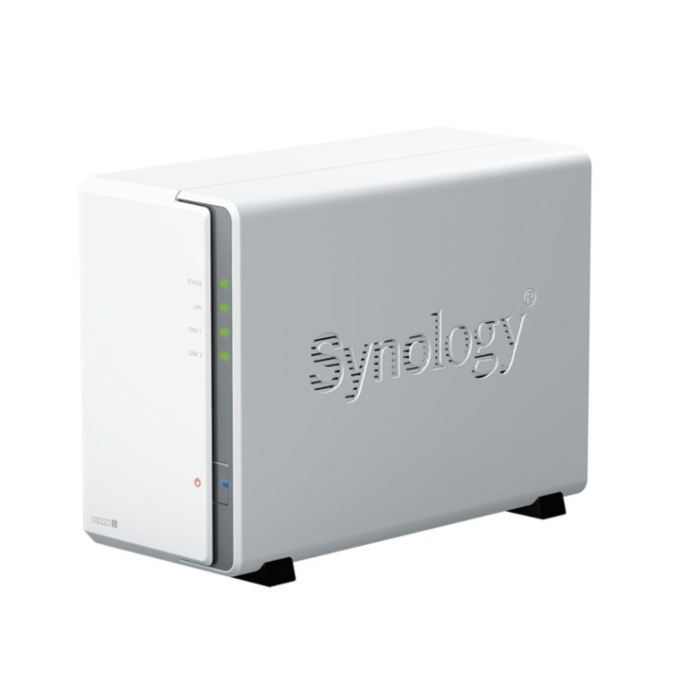 Synology DiskStation DS223j NAS + 2x Discos Duros 10TB Seagate IronWolf