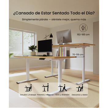 Estructura Mesa Elevable Básico con Dos Motores (E1S-PRO-EU-ES) Estructura Mesa Elevable Básico con Dos Motores (E1S-PRO-EU-ES)