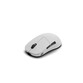 Ratón Endgame Gear XM2w 4k V2 Wireless 30000 DPI Blanco GX Speed Dongle 4k Incluido Ratón Endgame Gear XM2w 4k V2 Wireless 30000 DPI Blanco GX Speed Dongle 4k Incluido