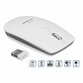 Ratón Esperanza EM120W Inalámbrico 2400DPI Gris Blanco Rueda 4 Botones