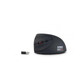 Ratón Urban Factory Ergo Next Inalámbrico Vertical 1600 DPI Negro USB-C Recargable 6 Botones Ratón Urban Factory Ergo Next Inalámbrico Vertical 1600 DPI Negro USB-C Recargable 6 Botones