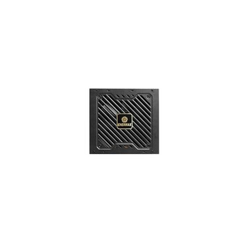 Fuente Alimentación Enermax 1000W Certificación 80 PLUS Gold Revolution III E