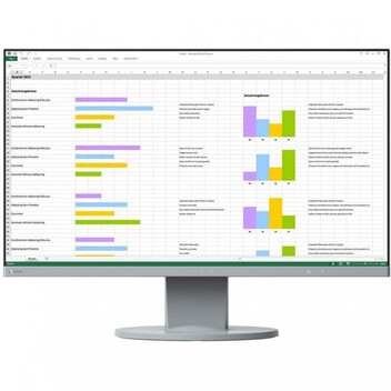 Monitor Eizo FlexScan EV2450 23.8" LED IPS FullHD Gris