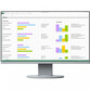 Monitor Eizo FlexScan EV2450 23.8" LED IPS FullHD Gris