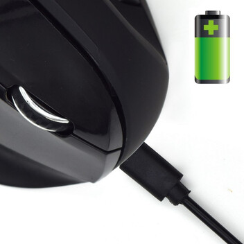Ewent EW3158 Ratón Ergonómico Inalámbrico Negro