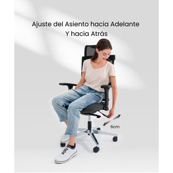 Silla oficina BS6&BS6-Lite(BS6)