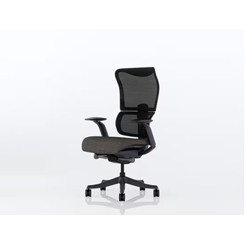 Silla oficina con respaldo BS8 Pro(BS8 Pro)
