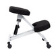 Jshome Silla Ergonómica Ergochair Blanco/Negro Jshome Silla Ergonómica Ergochair Blanco/Negro
