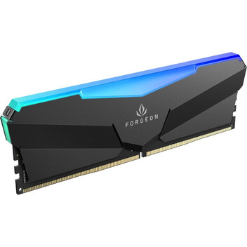 Memoria RAM Forgeon Cyclone PRO RGB DDR5 6000 MHz 32GB 2x16GB CL30 Negra
