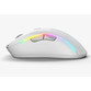 Glorious Model D 2 Wireless Ratón Gaming Inalámbrico 2.4GHz / Bluetooth 26000 DPI Blanco Glorious Model D 2 Wireless Ratón Gaming Inalámbrico 2.4GHz / Bluetooth 26000 DPI Blanco