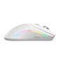 Ratón Glorious inalámbrico 26000 DPI RGB 6 botones Bluetooth USB-C