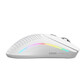Ratón Glorious inalámbrico 26000 DPI USB-C 6 botones ultraligero blanco