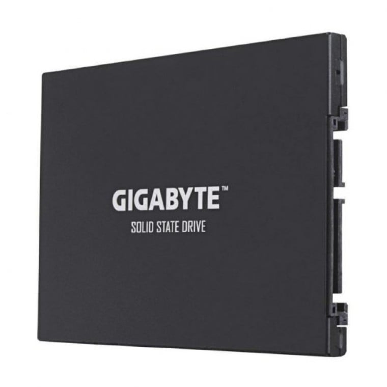 Gigabyte UD PRO 256GB Sata III